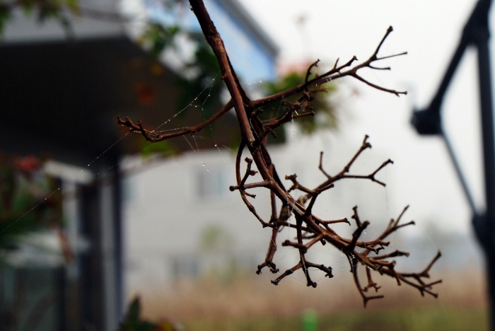 2039720148_d46c0d88_ED81ACEAB8B0EBB380ED9998_DSC_0013.JPG